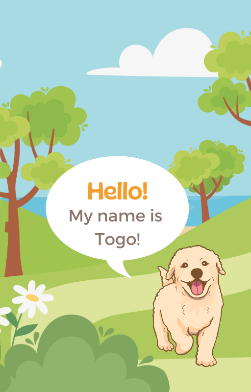 Tails of Adventures with Togo