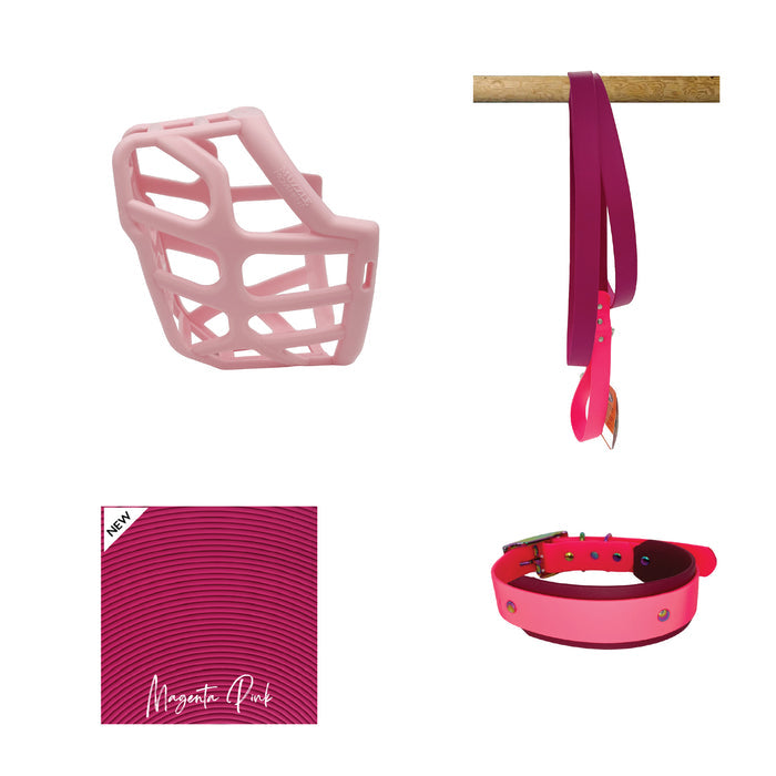 Taz* Muzzle Collar and Lead set