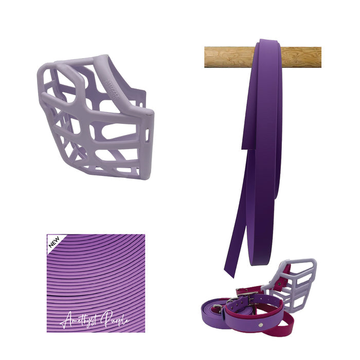 Taz* Muzzle Collar and Lead set