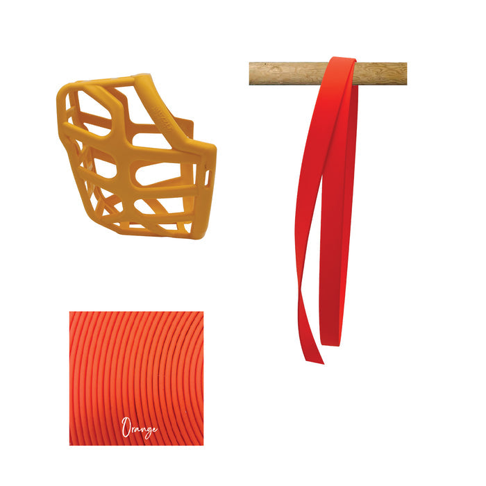 Taz Muzzle Collar and Lead set