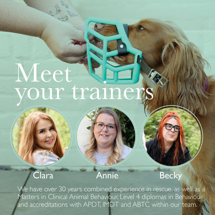 The Complete Dog Muzzle Training Course