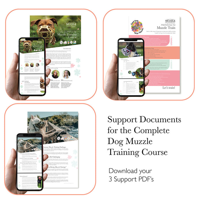 The Complete Dog Muzzle Training Course