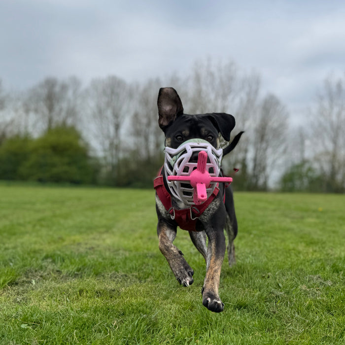 The Muzzle Mates - Muzzle friendly Fetch Toy