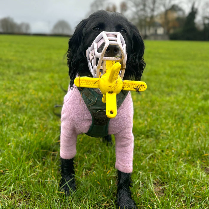 The Muzzle Mates - Muzzle friendly Fetch Toy