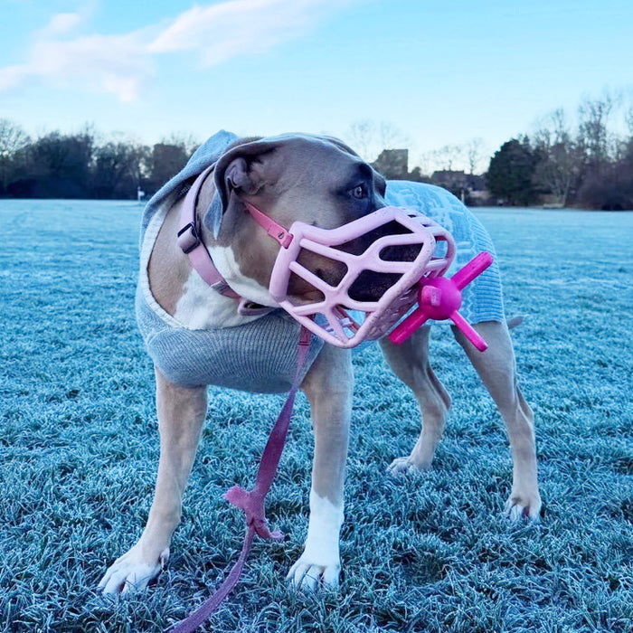 The Muzzle Mates - Muzzle friendly Fetch Toy