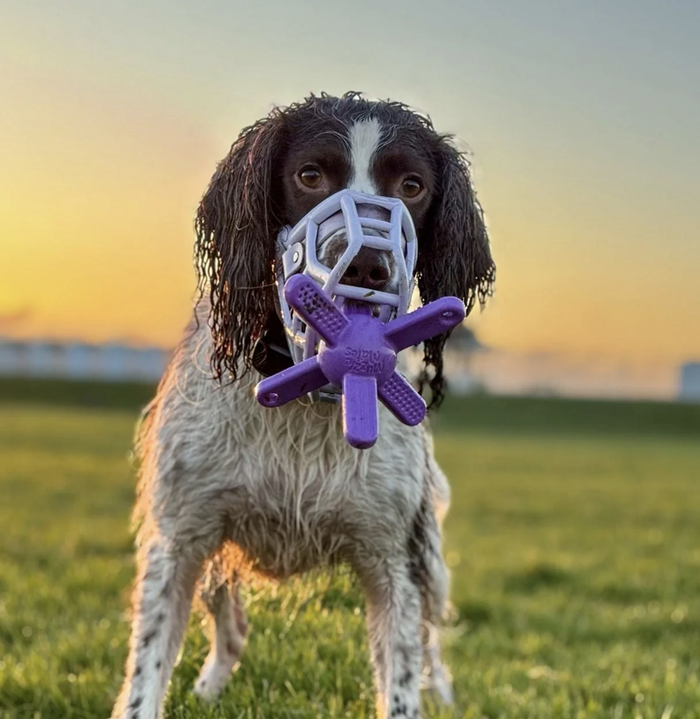 The Muzzle Mates - Muzzle friendly Fetch Toy