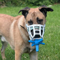 The Muzzle Mates - Muzzle friendly Fetch Toy