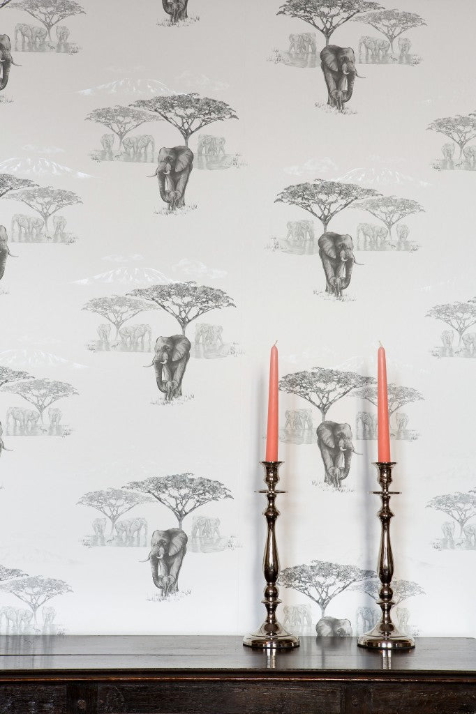 The Waterhole JTWH02  Grey Wallcovering