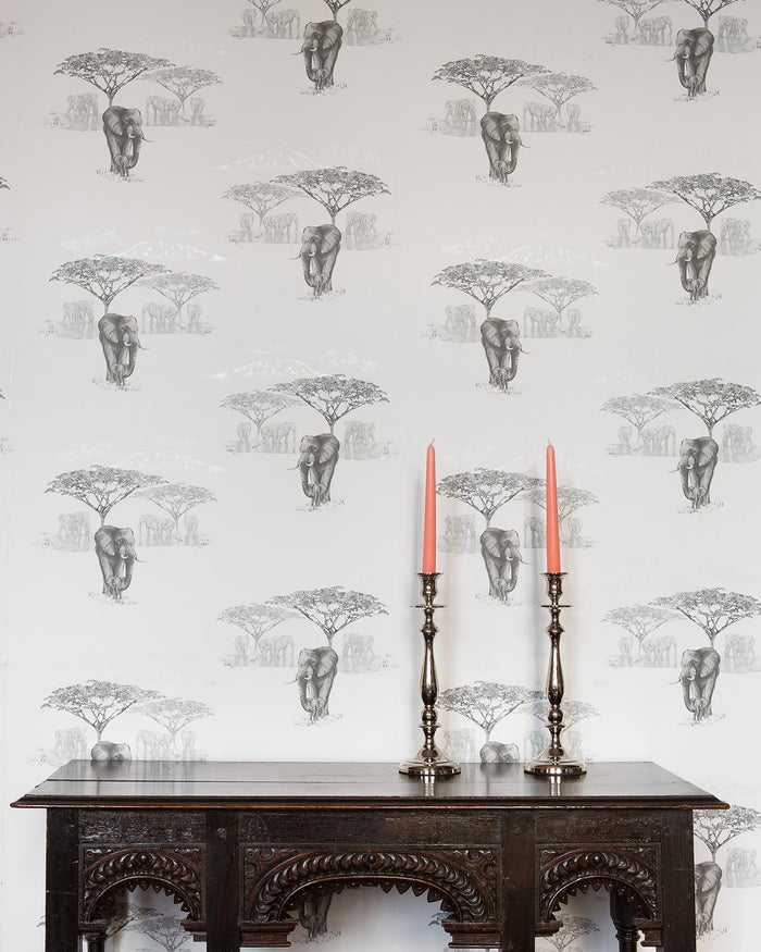 The Waterhole JTWH02  Grey Wallcovering