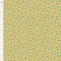 0.76793100 177135282896694653