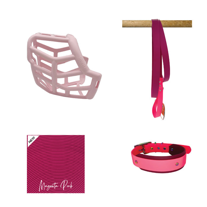 Tolly* Muzzle Collar and Lead set
