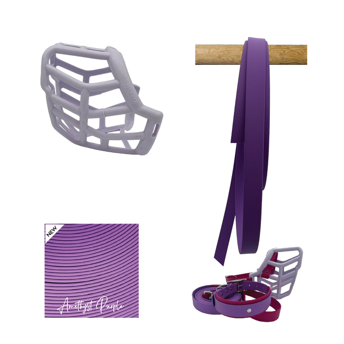 Tolly* Muzzle Collar and Lead set