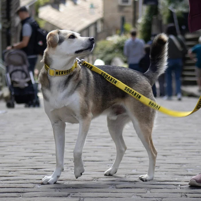 Twiggy Tags | Awareness Close Control Lead