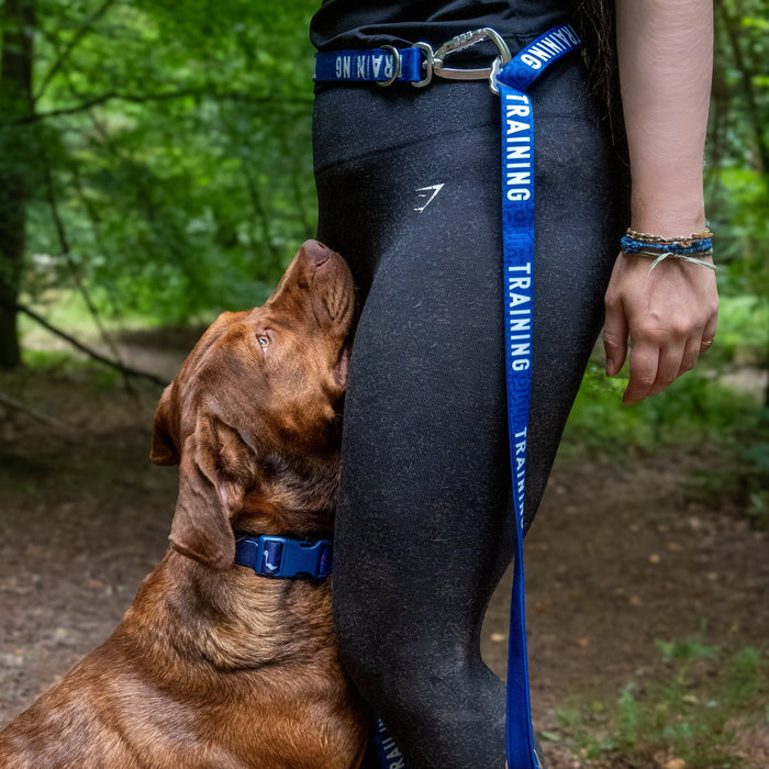 Twiggy Tags | Awareness Multi-Way Lead