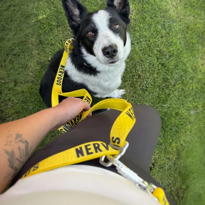 Twiggy Tags | Awareness Multi-Way Lead
