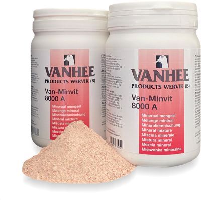 Two bottles of Vanhee VAN-MINVIT 8000 A pigeon supplement with one bottle cap removed, showing the powder inside, against a white background.
