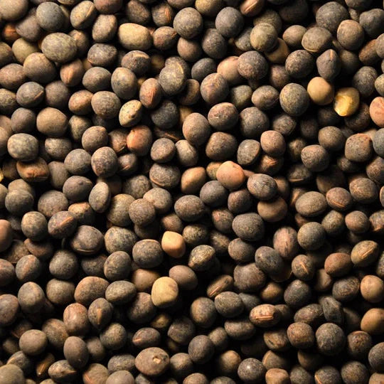 High-Protein Premium Bird Food Supplement