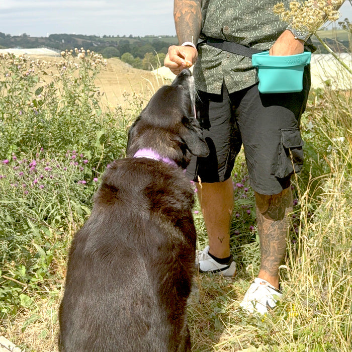 VoiláPets ULTIMATE TREAT POUCH™ - THE MINI