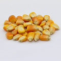 Whole Corn Feed for Chickens & Pigeons