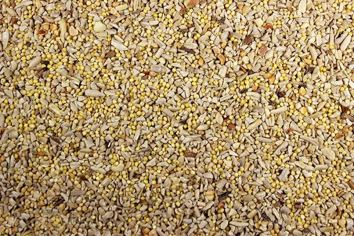 No Mess Wild Bird Feed