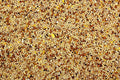 Wild Bird Seed Mix