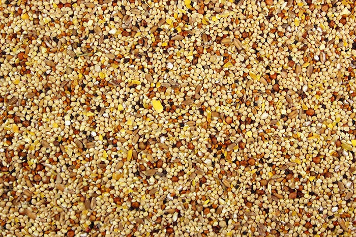 Wild Bird Seed Mix