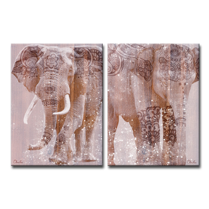 'Wild Zen No. 2-3' Wrapped Canvas Art Set