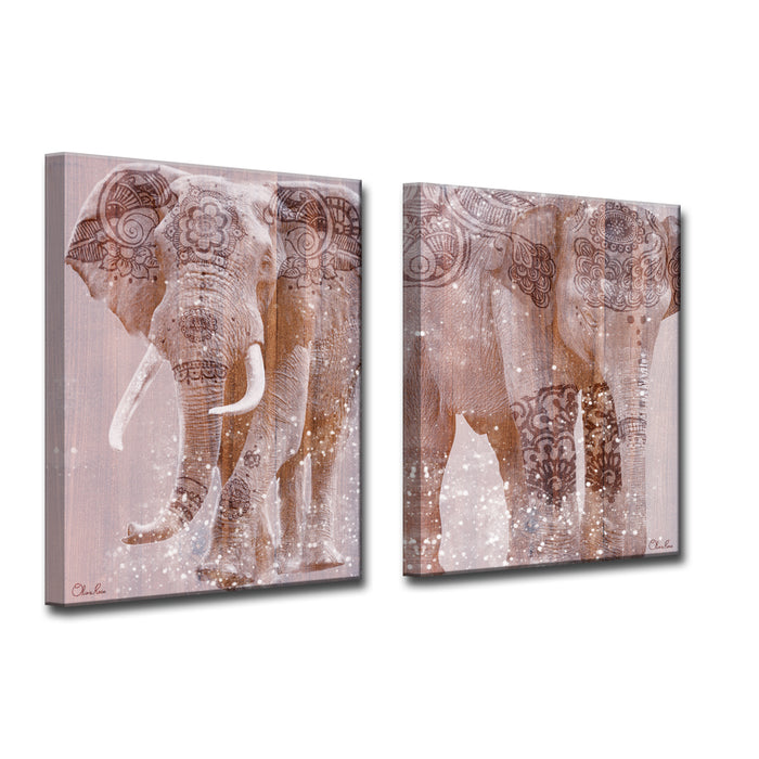 'Wild Zen No. 2-3' Wrapped Canvas Art Set