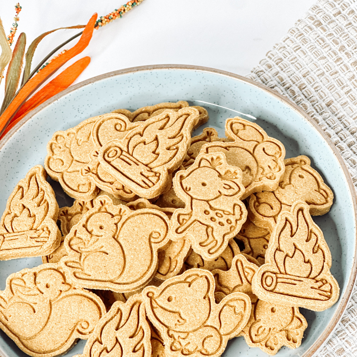 Woodland Friends | Pumpkin & Apple Dog Treats