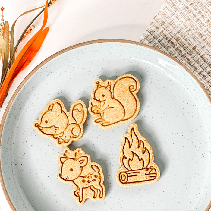 Woodland Friends | Pumpkin & Apple Dog Treats
